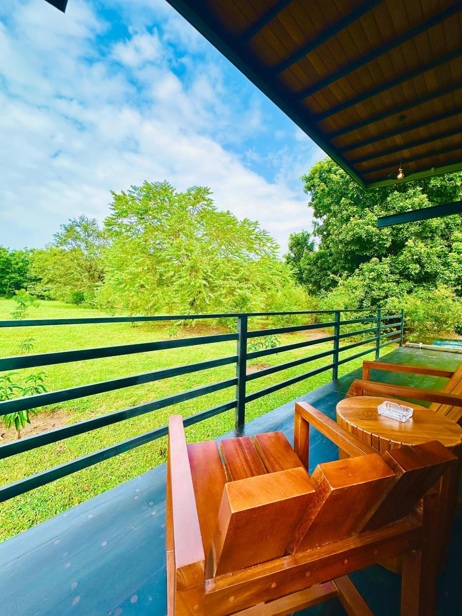 Atha Resort Sigiriya Exterior photo The view from the balcony of the hotel
