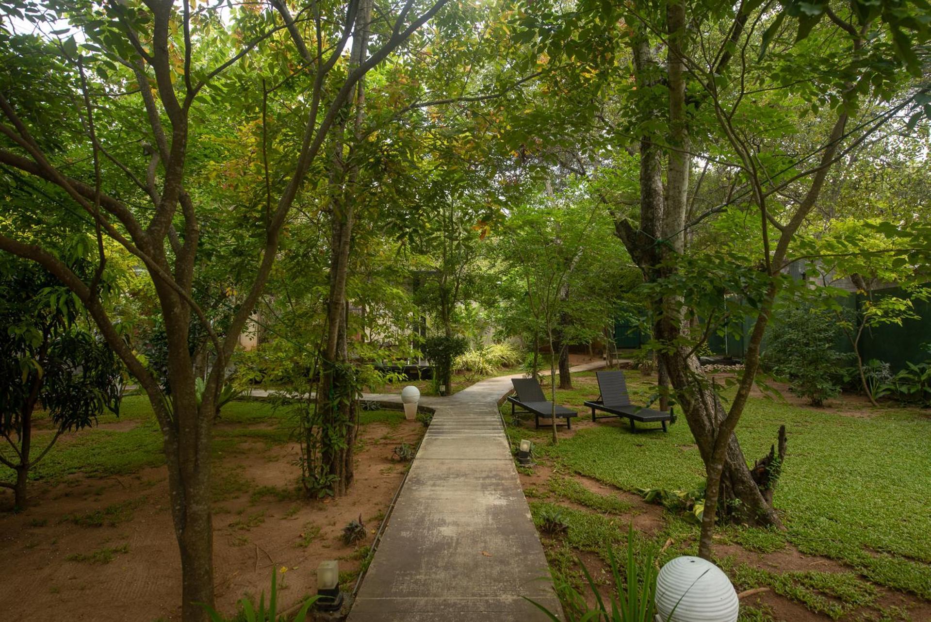 Atha Resort Sigiriya Exterior photo