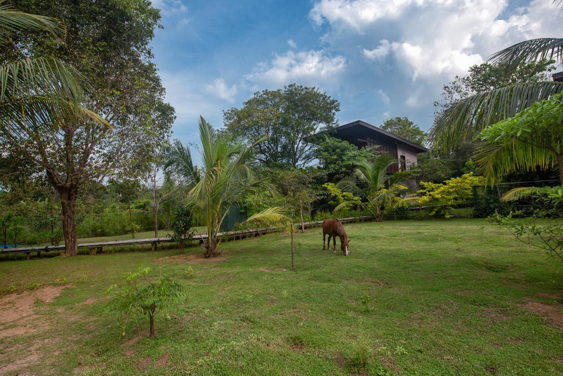 Atha Resort Sigiriya Exterior photo